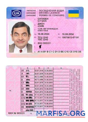 Realistic Ukraine driving license 2024 present example